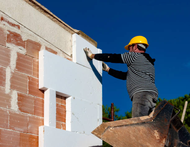 Best Specialized Insulation Services in Edgewater, CO