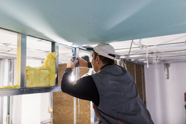 Best Energy Efficiency Insulation in Edgewater, CO