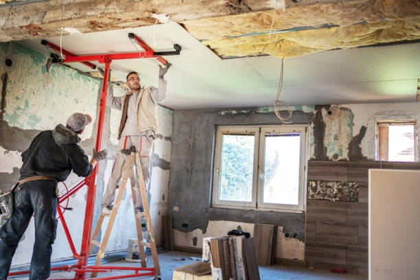 Types of Insulation We Offer in Edgewater, CO