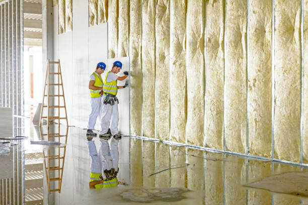 Professional Insulation Contractor in Edgewater, CO